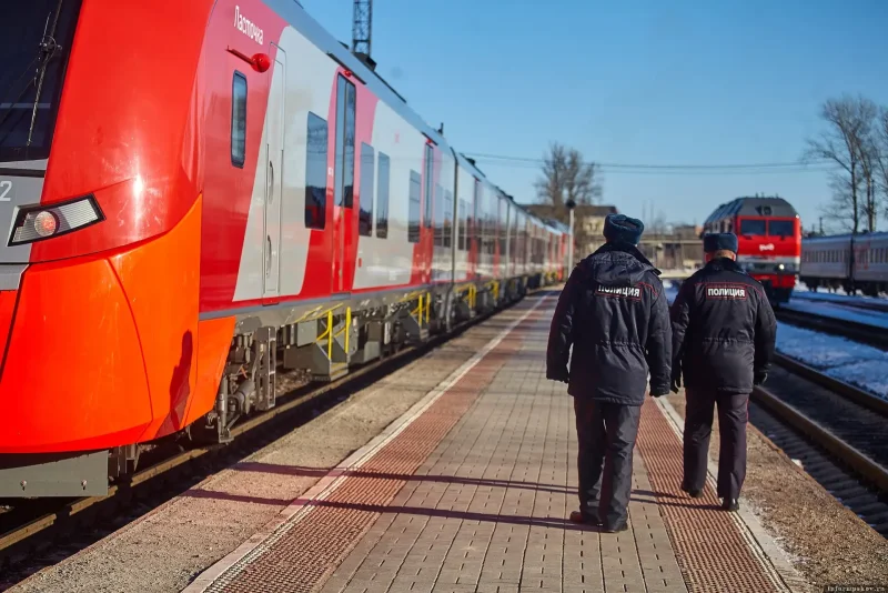 Поезд Ласточка Петрозаводск