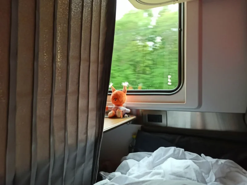 Рускеальский экспресс св вагон