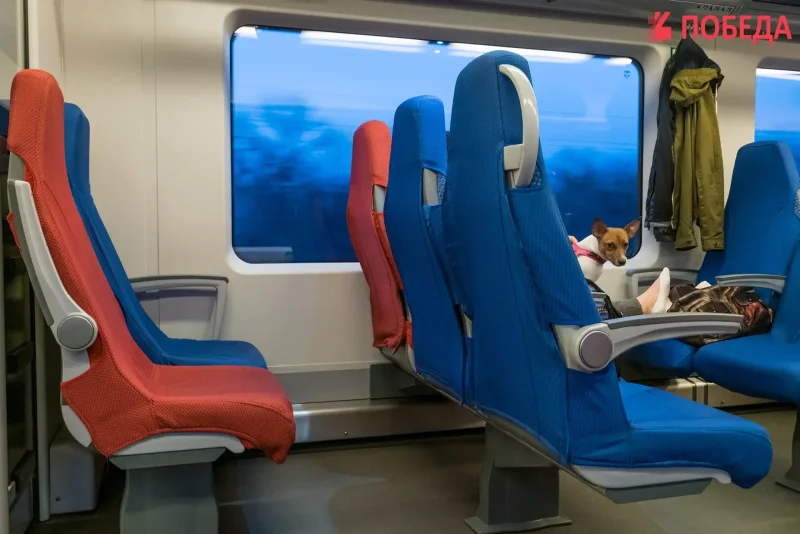 Ласточка вагон 2е