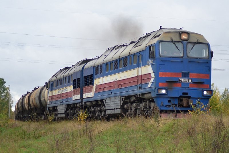 2тэ 116 859