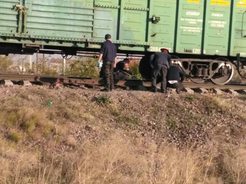Храпуново поезд сбил двоих
