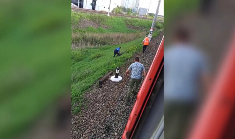 Электричка сбила девочку
