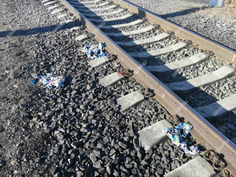 Девочка попала под поезд