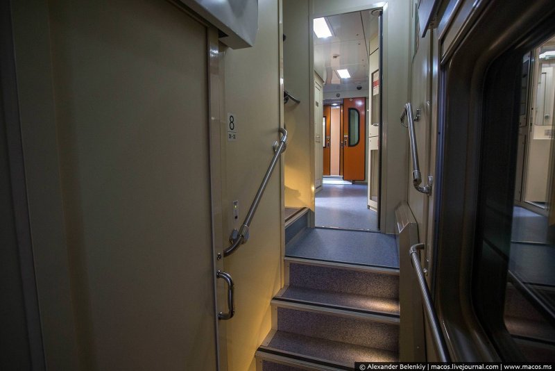 Северная Пальмира св