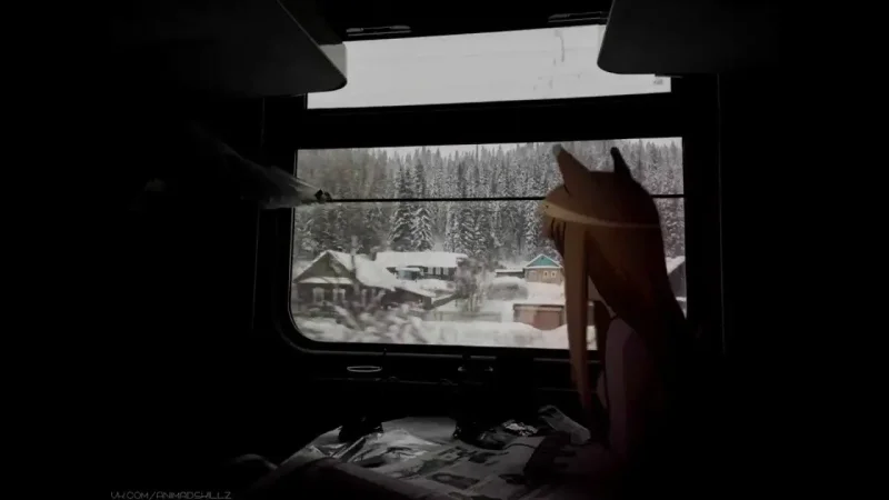 Плацкарт окно
