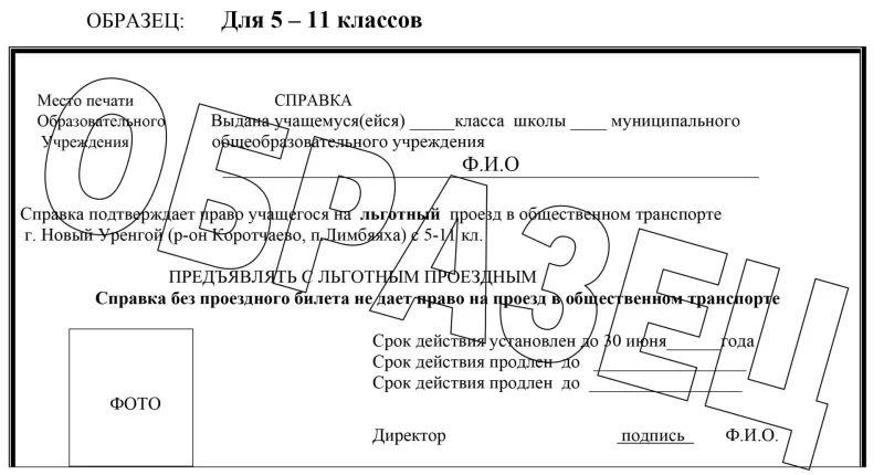 Справка для поезда школьникам
