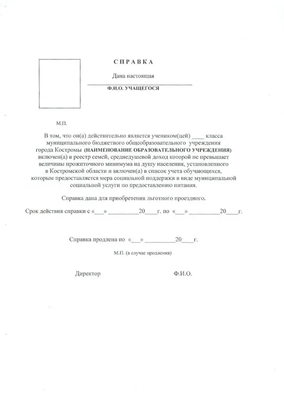 Справка школьника с фотографией