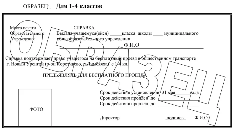 Справка школьника