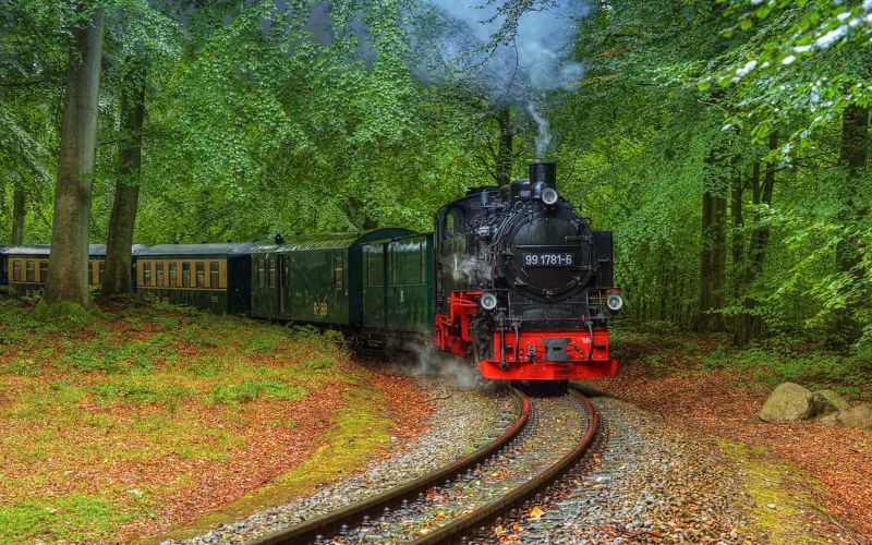 Паровоз в лесу