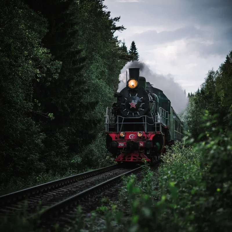 Старая железная дорога в лесу