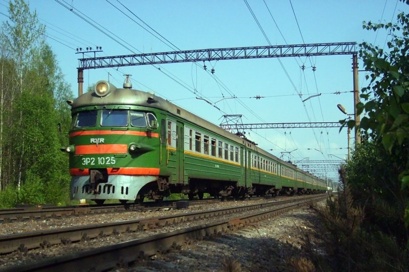 Эр2 кругломордая