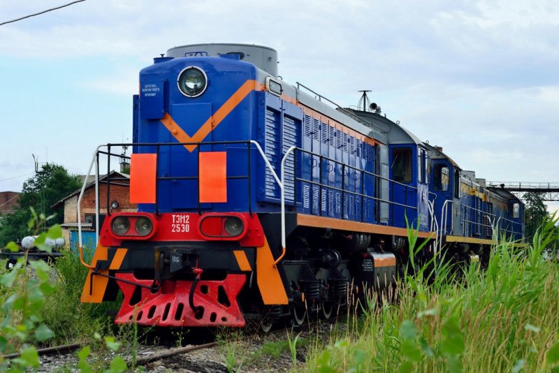 Маневровый Локомотив ТЭМ 2