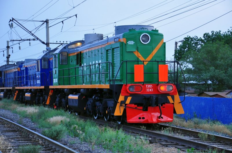 Локомотив тэм2