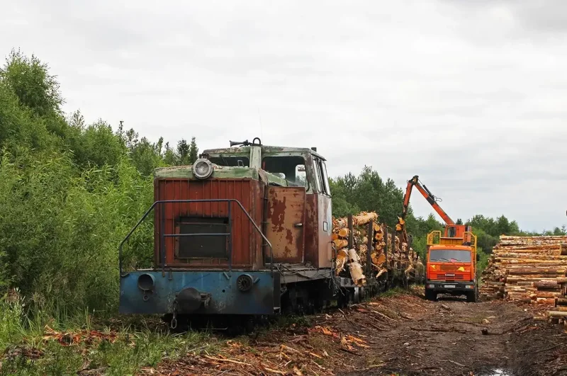 Ту8 тепловоз узкоколейный