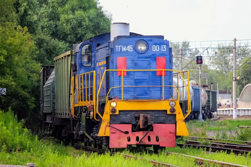ТГМ 4а 1838