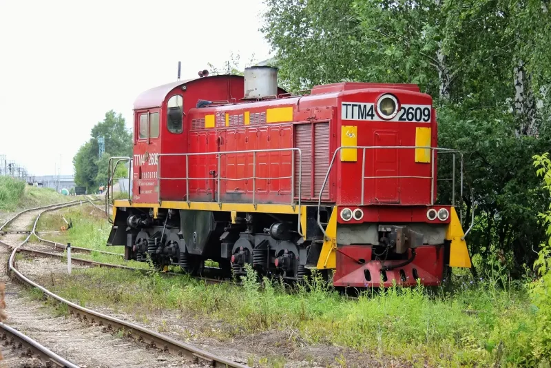 Тгм4 2419