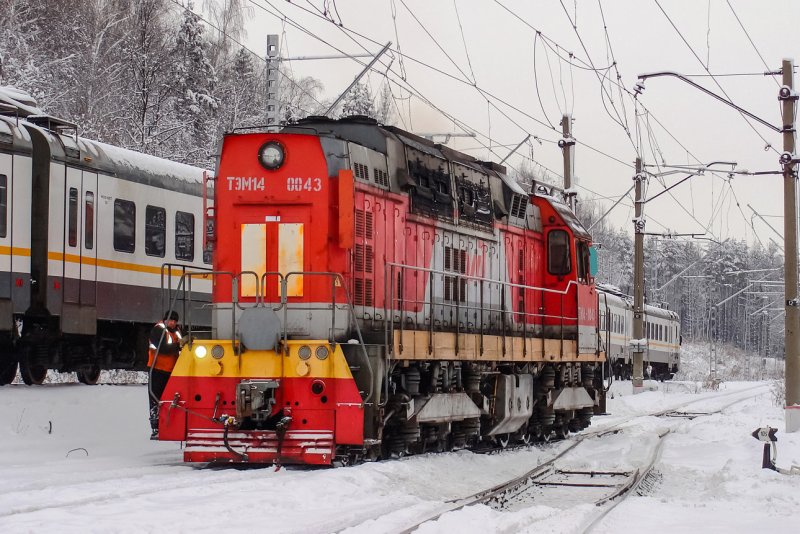 Тэм14 сме