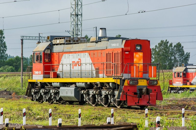Тэм18в 20