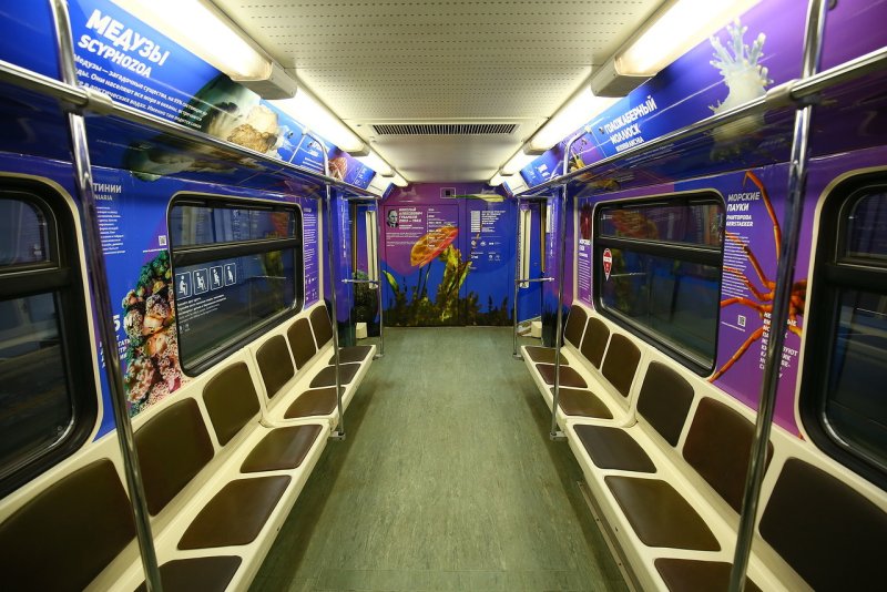 Тематический вагон Московское метро