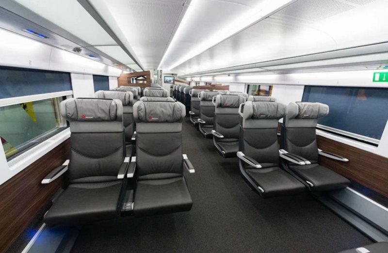 Стриж вагоны Talgo