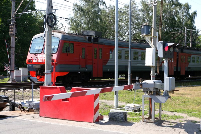 Полина Петрова поезд