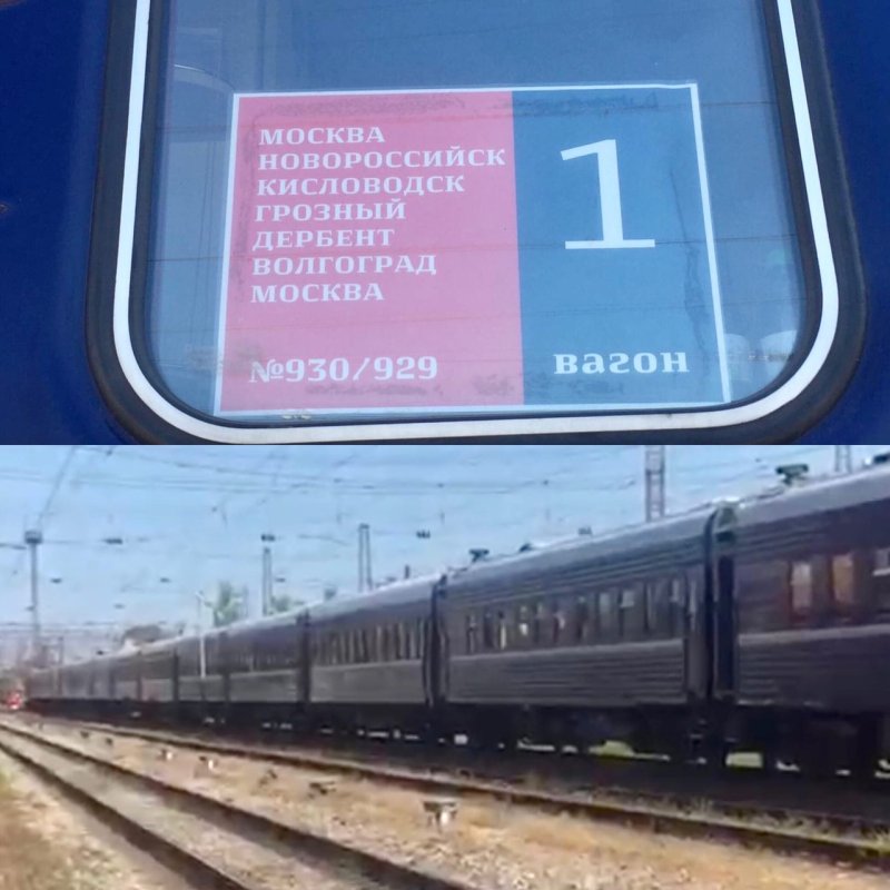 Купе св Северная Пальмира