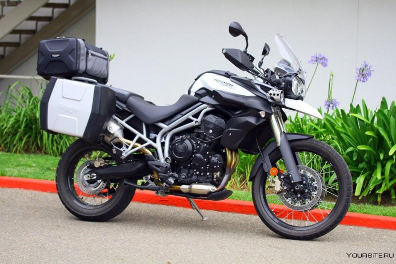 Triumph Tiger 800