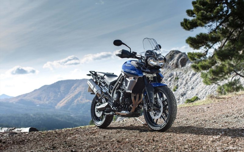 Triumph Tiger 800 XC