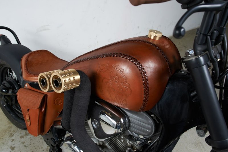Harley Davidson Sportster бак