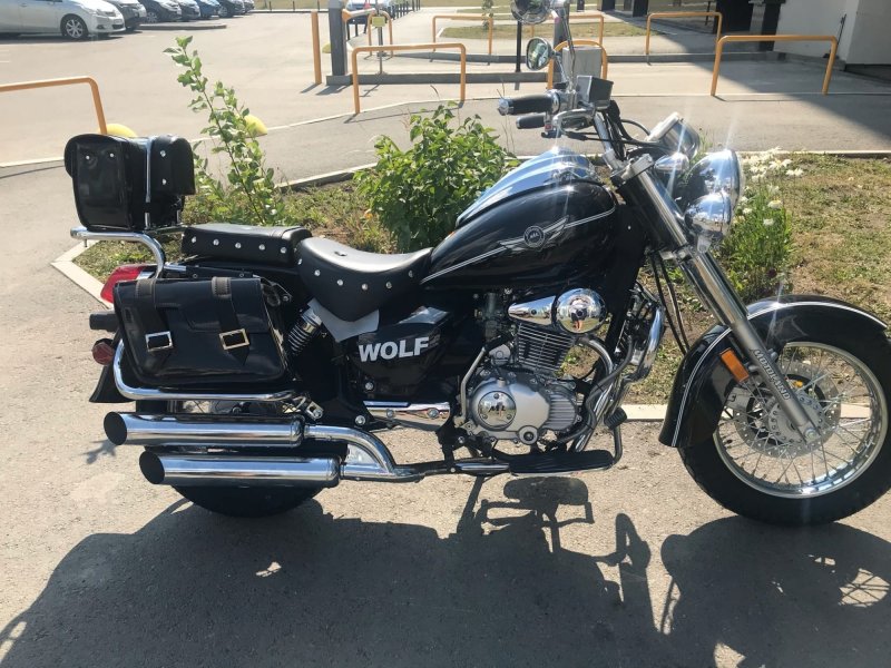 Мотолэнд Wolf 250