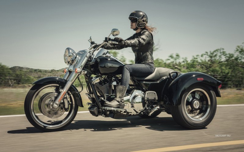 Harley Davidson Freewheeler