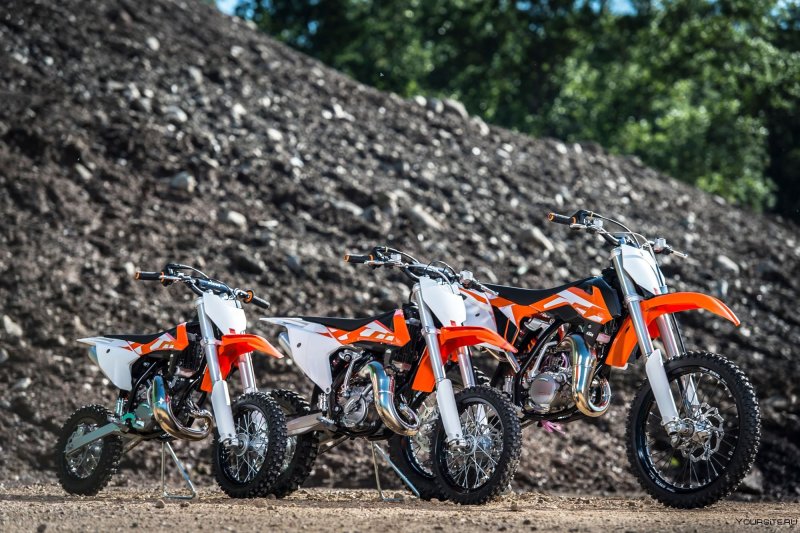 KTM 50 SX