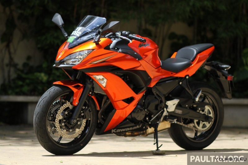 Honda cbr600rr Custom