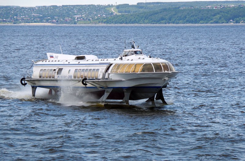 Буревестник Алексеева