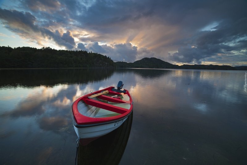 Лоток для воды