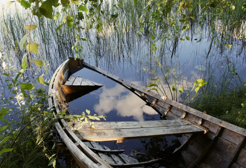 Лодка в камышах