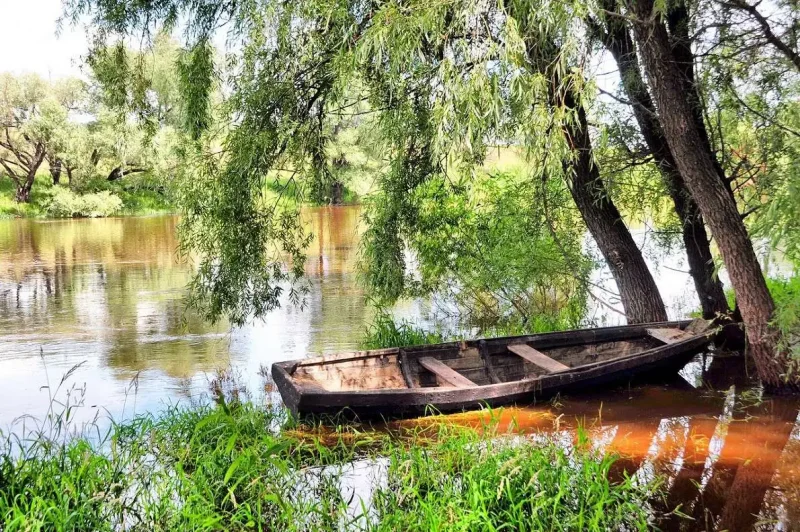 Лодка на берегу реки