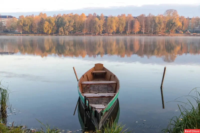 Старая лодка в камышах