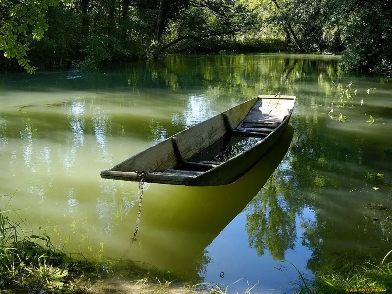 Отражение в воде