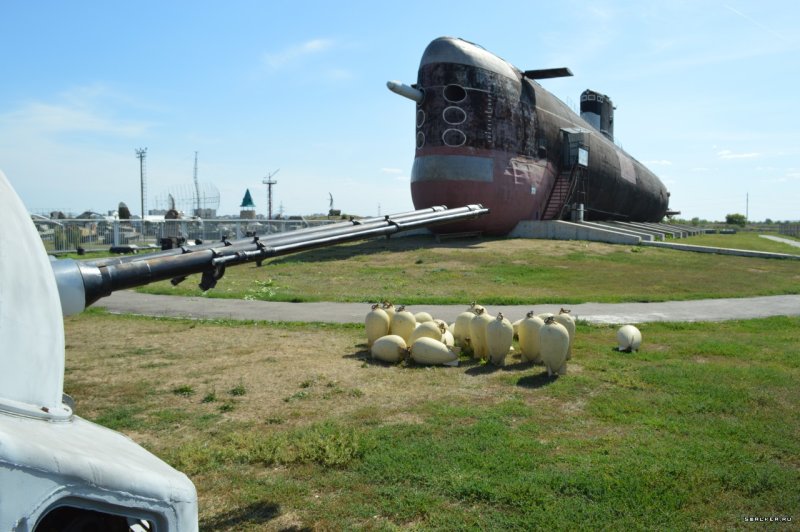Б-307 подводная лодка музей