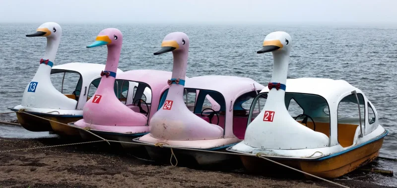 Гусь на лодке