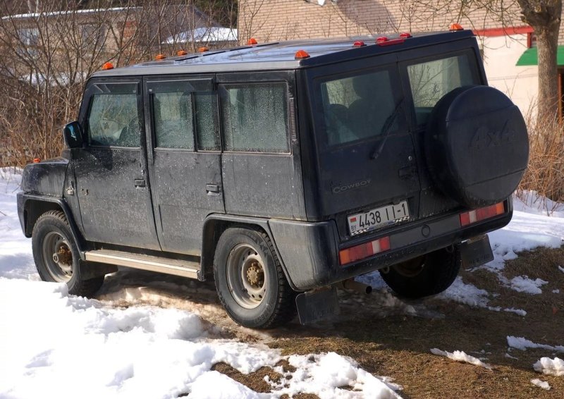 Дервейс ковбой подвеска