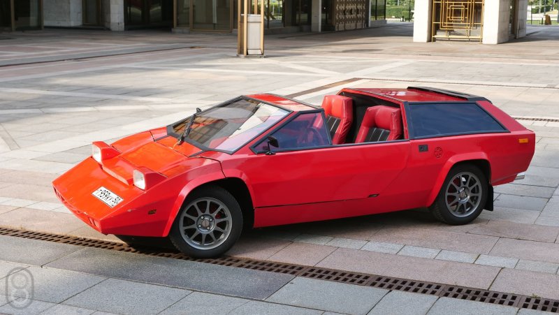 Панголина автомобиль