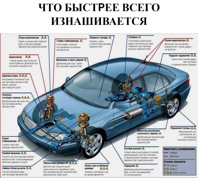 Автомобиль в разрезе