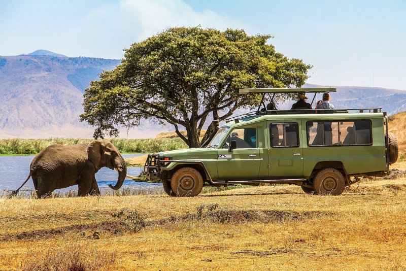 Savanna Safari Chevrolet