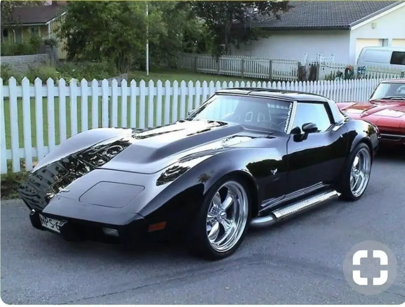 Chevrolet Corvette Stingray 1979