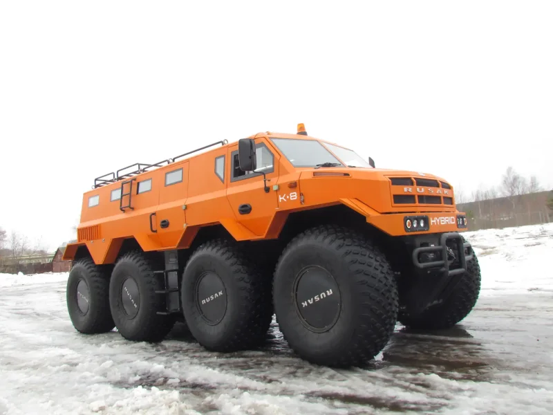 Русак 3994