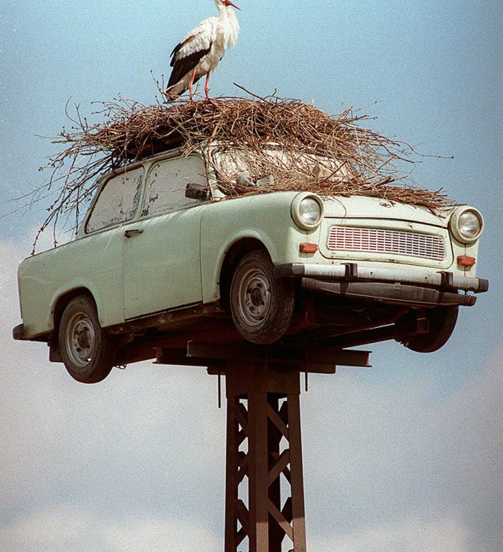 Авто с птичкой