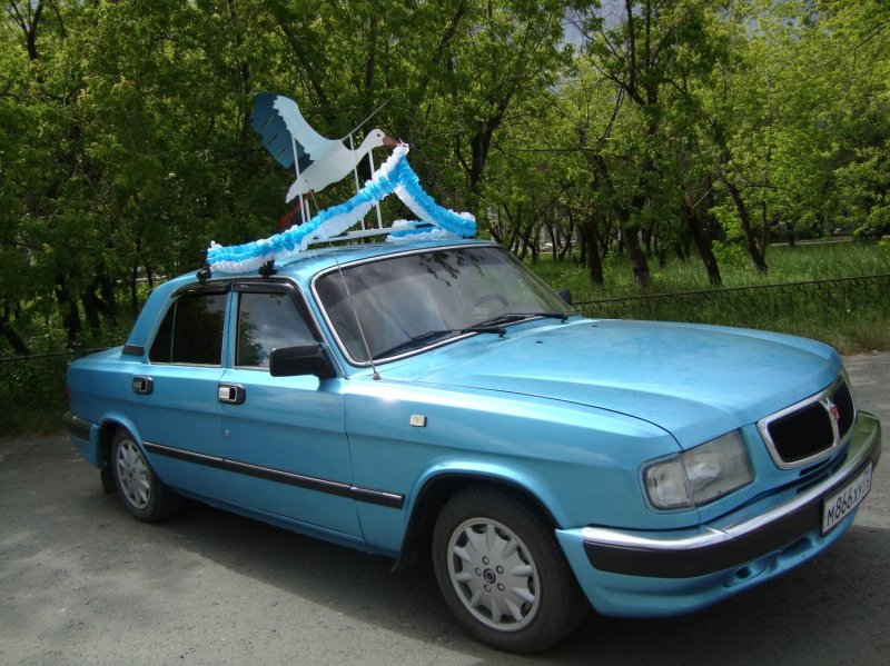 Туркестанский белый Аист опора