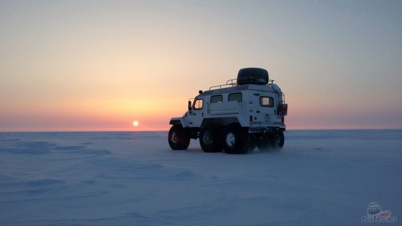 Трэкол Арктика